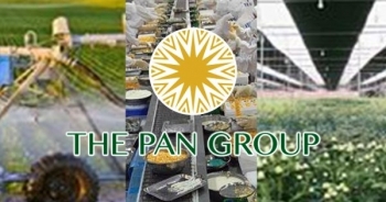 Tập đoàn PAN chuẩn bị phát hành hơn 43 triệu cổ phiếu thưởng, tỷ lệ 25%