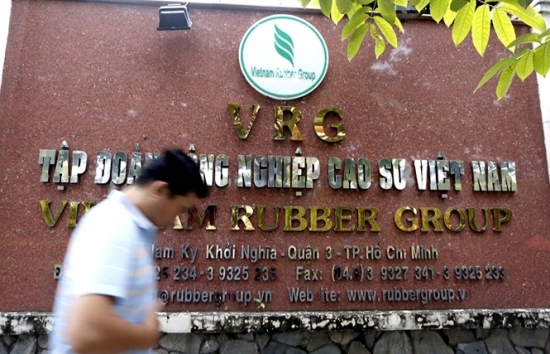 Tập đoàn Cao su Việt Nam (GVR) hoàn thành kế hoạch lợi nhuận năm 2020