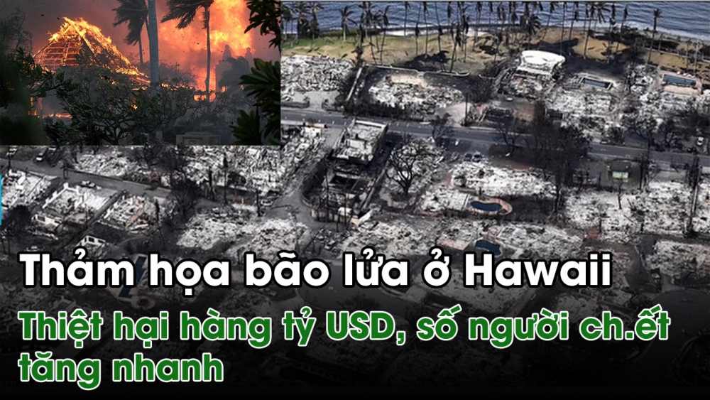Thảm họa bão lửa thiêu đốt đảo ở Hawaii: Thiệt hại hàng tỷ USD, số người chết tăng nhanh
