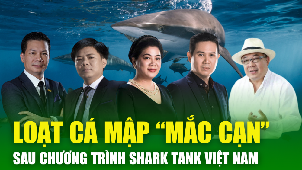 NÓNG TIN CHIỀU 27/3: Shark Thủy bị bắt – Điểm danh loạt cá mập từng "mắc cạn" sau chương trình Shark Tank Việt Nam