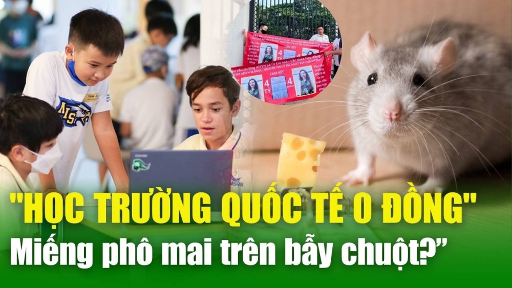 NÓNG TIN CHIỀU 8/4: "Học trường quốc tế 0 đồng": Miếng phô mai trên bẫy chuột?”