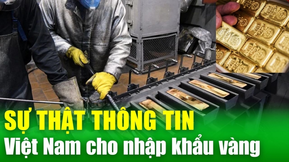 “Người trong cuộc” tiết lộ sự thật thông tin Việt Nam cho nhập khẩu vàng từ tháng 7/2024 | TCKT