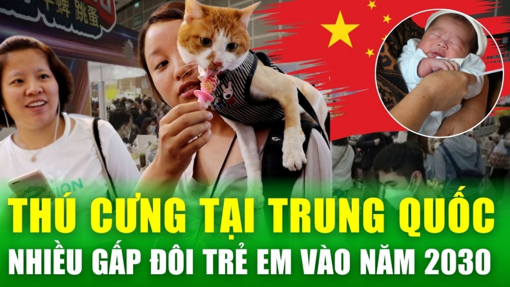 Tin nóng 24h: Giới trẻ Trung Quốc lười đẻ, nền "kinh tế thú cưng" hàng tỷ USD lên ngôi