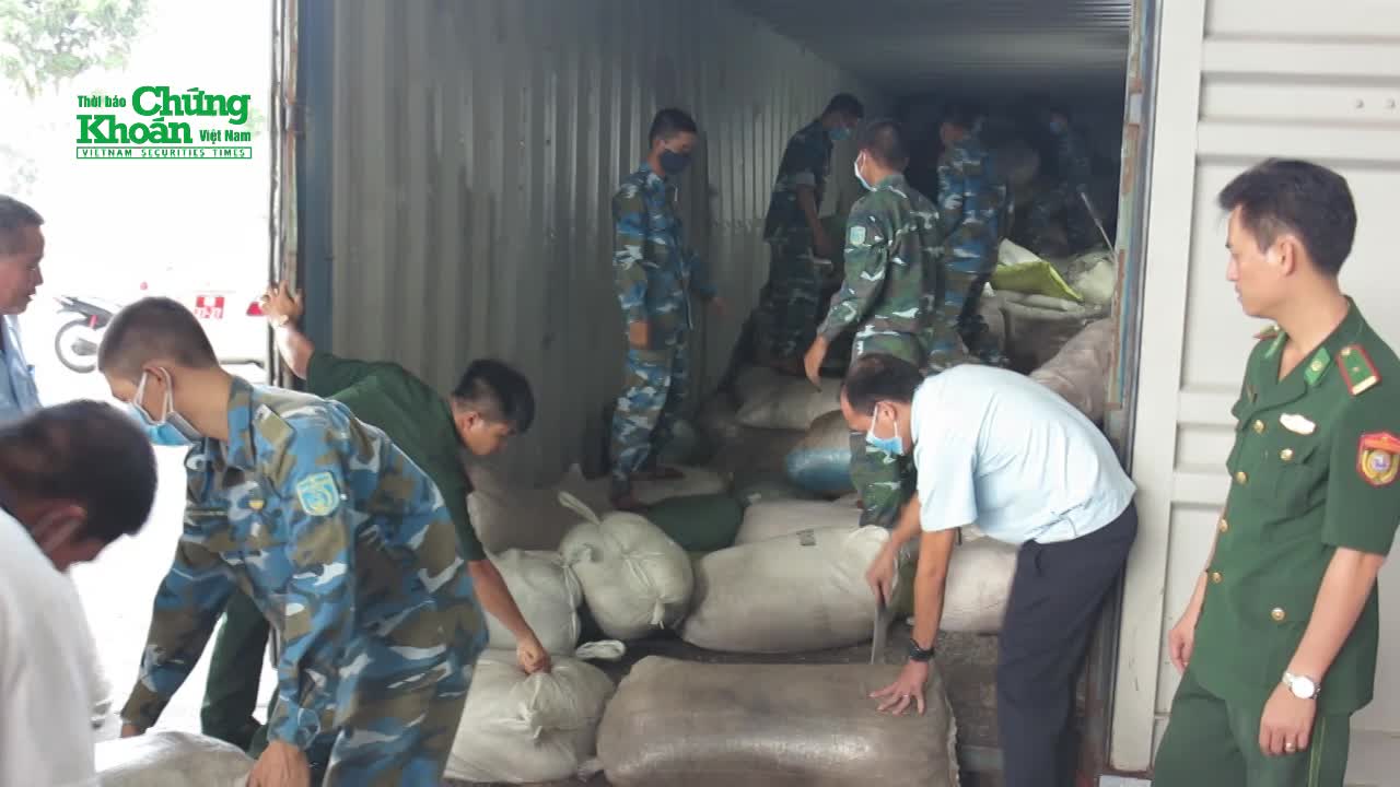 Tin nóng: Hải quan Đà Nẵng bắt  giữ số lượng lớn ngà voi, vảy tê tê nhập từ nước ngoài về Việt Nam